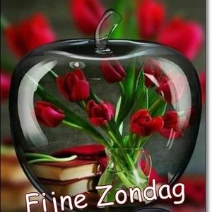 Meet your Posher, Juan